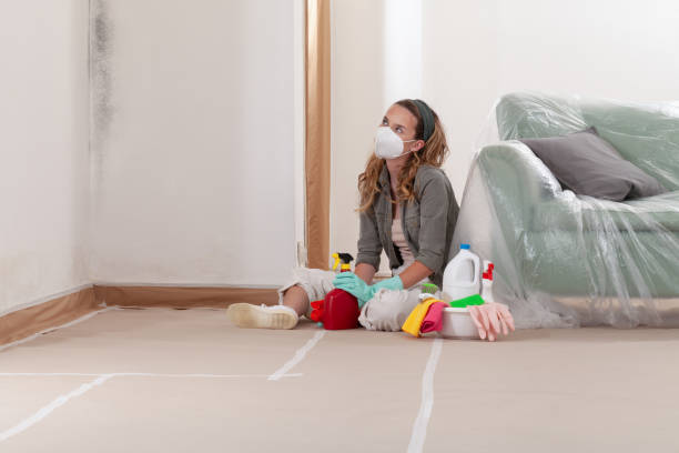 Reliable Mold Cleanup contractor in Allendale, NJ by Cheap Mold Removal